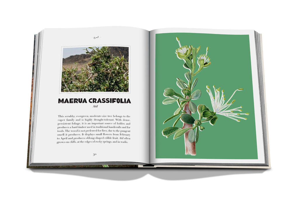 AlUla Flora Book