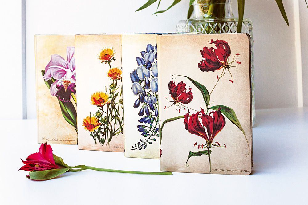 Painted Botanicals Blooming Wisteria Notebook