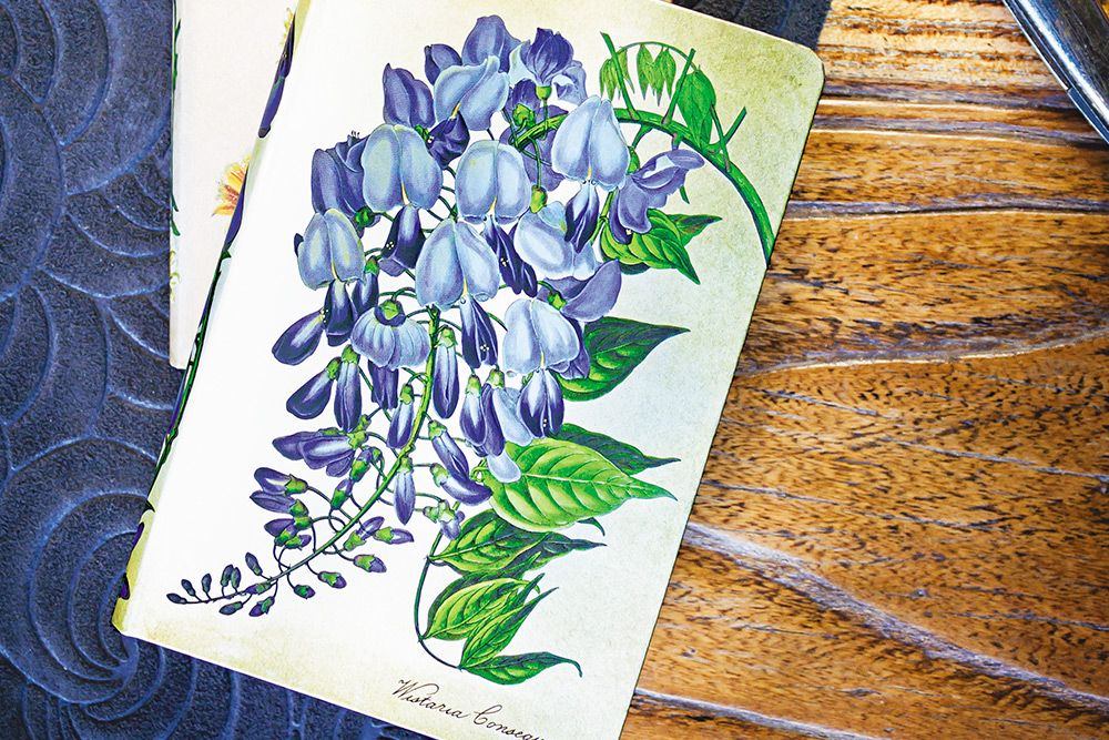 Painted Botanicals Blooming Wisteria Notebook