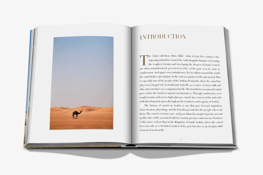 Camels from Saudi Arabia (Classic) Book