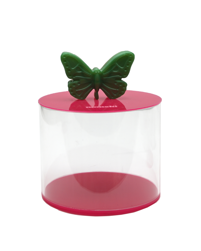 Butterfly Sunbeam Boxes Set