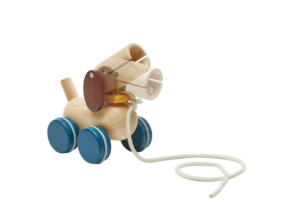 "Push & Pull Puppy" Children's Toy